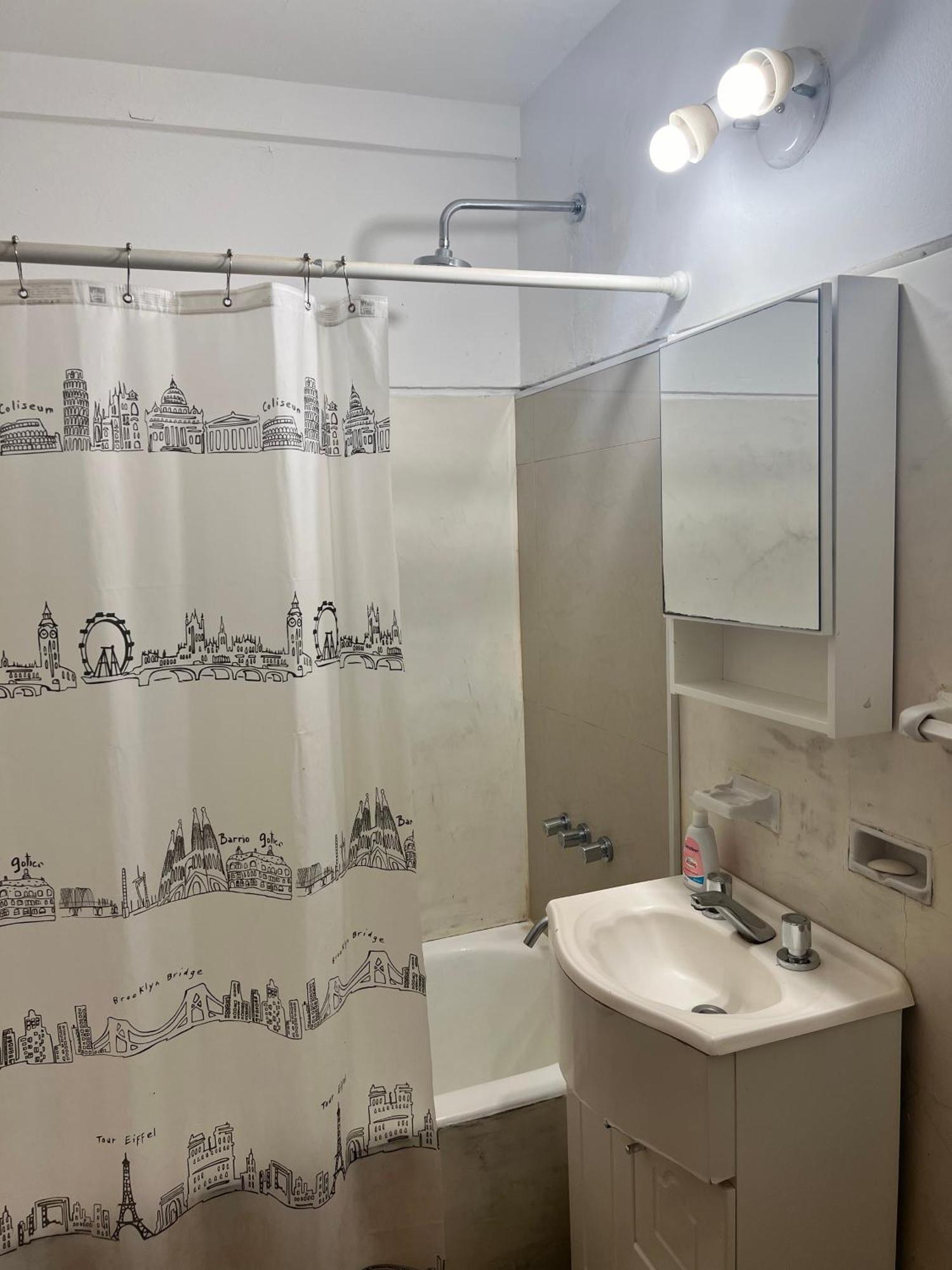 French - Recoleta Apartment